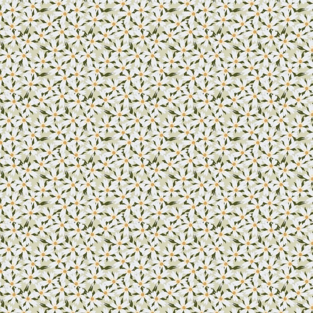 moused eared chickweed wallpaper