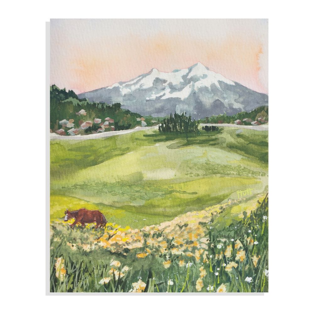 Crested Butte Spring Wildflowers