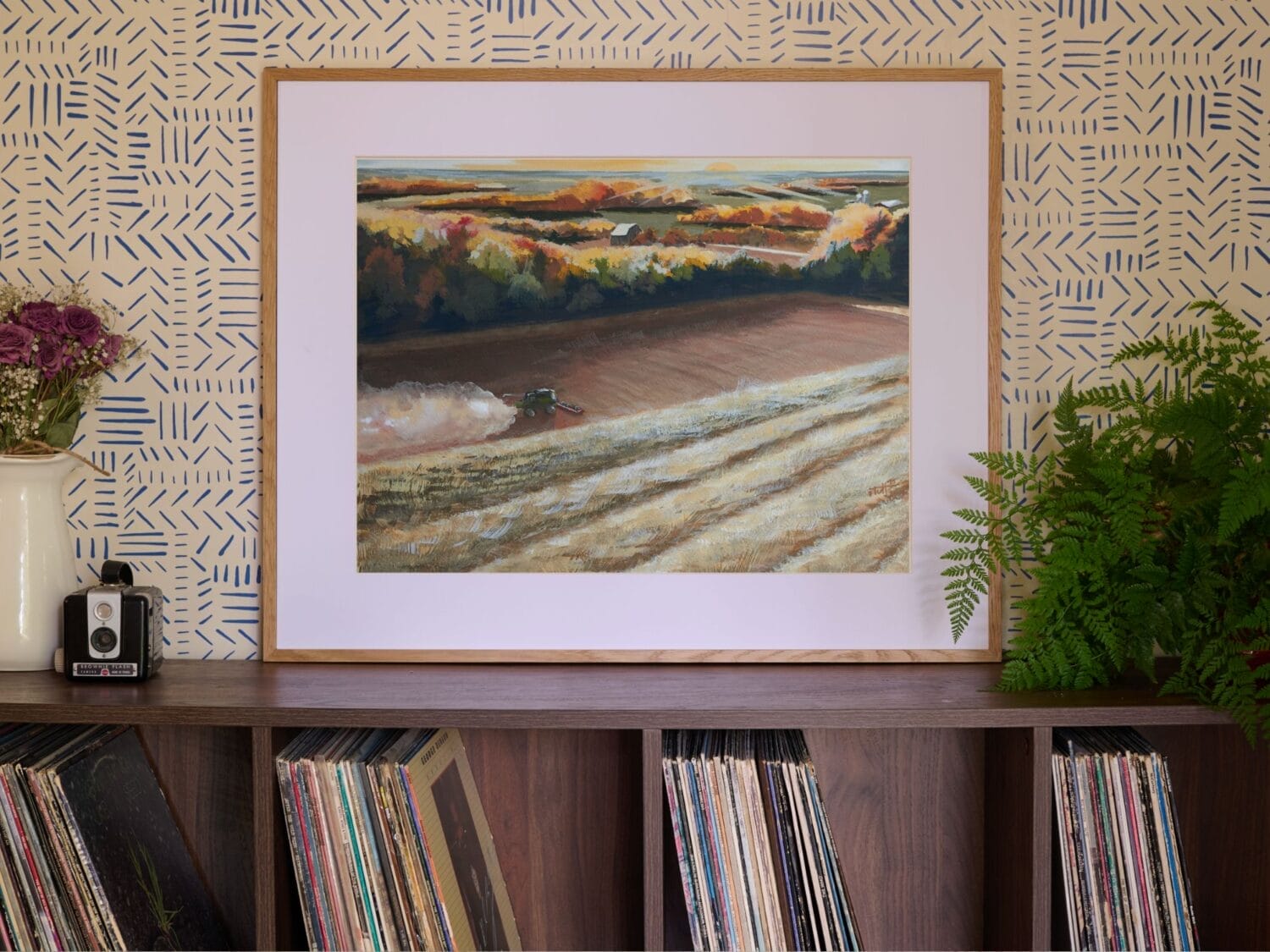 Fall harvest Combine in the corn fields painting