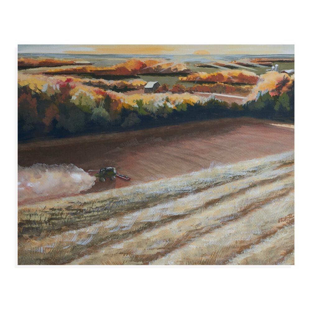 Fall harvest Combine in the corn fields painting